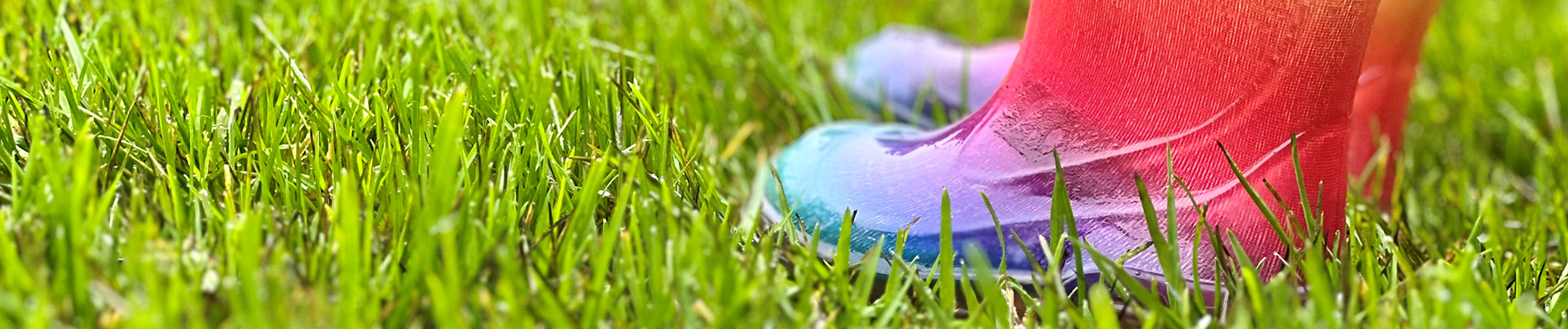 Gazon-maart_Header-opknapbeurt-klaver-mos-of-wild-gras