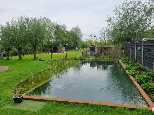 Aanleg-zwemvijver-Hoevelaken