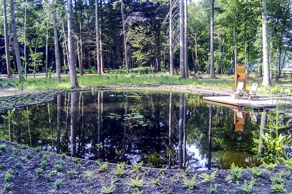 Bostuin-met-vijver-laten-aanleggen-in-Epe