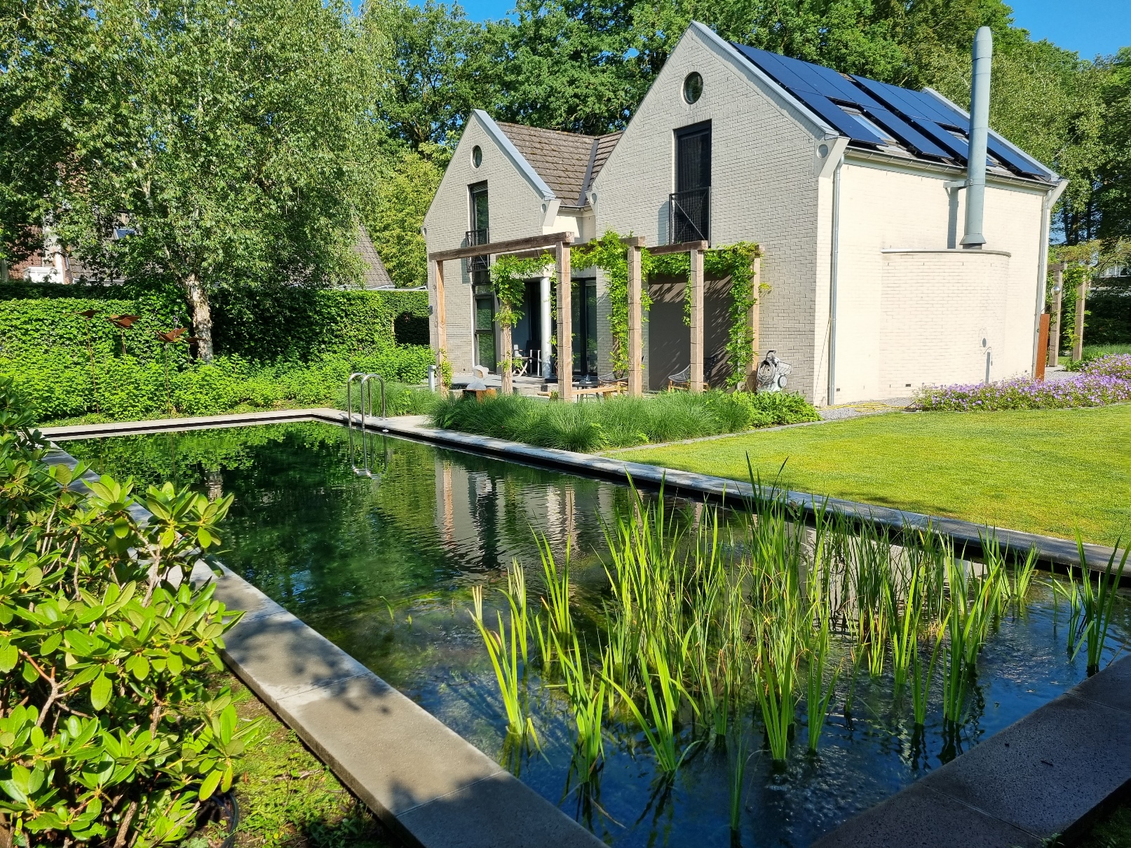 Diepenveen-aanleg-zwemvijver