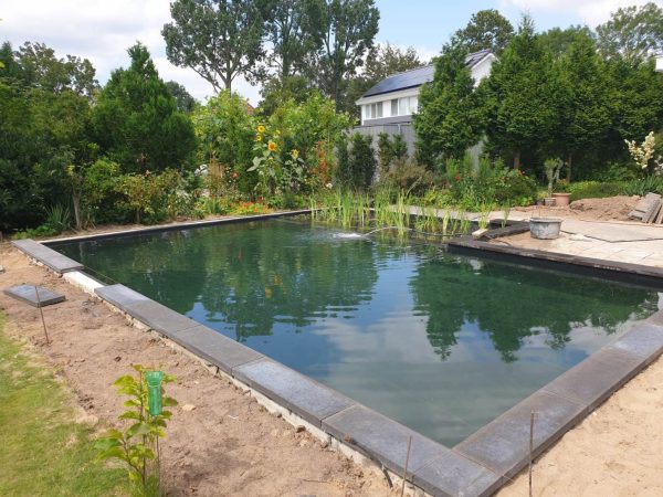 Ombouw-gedateerd-chloorbad-naar-natuurlijk-gezuiverde-zwemvijver-Vos-Tuinvisie