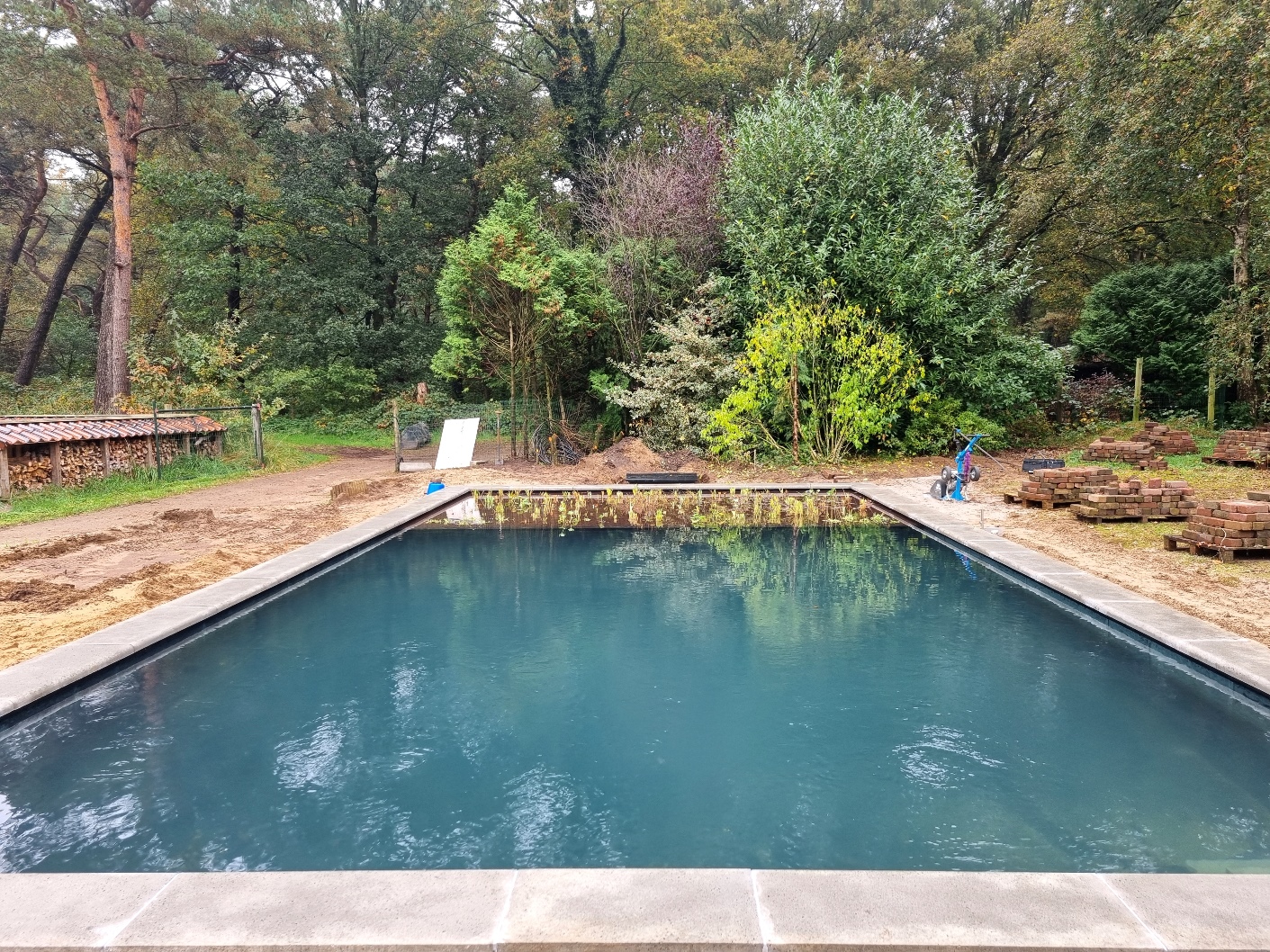 Omgebouwde-zwemvijver-in-epe