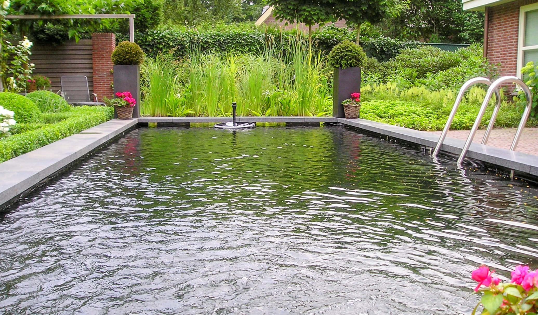 Onderhoud-kleine-zwemvijver-Vos-Tuinvisie-zwemvijverspecialist
