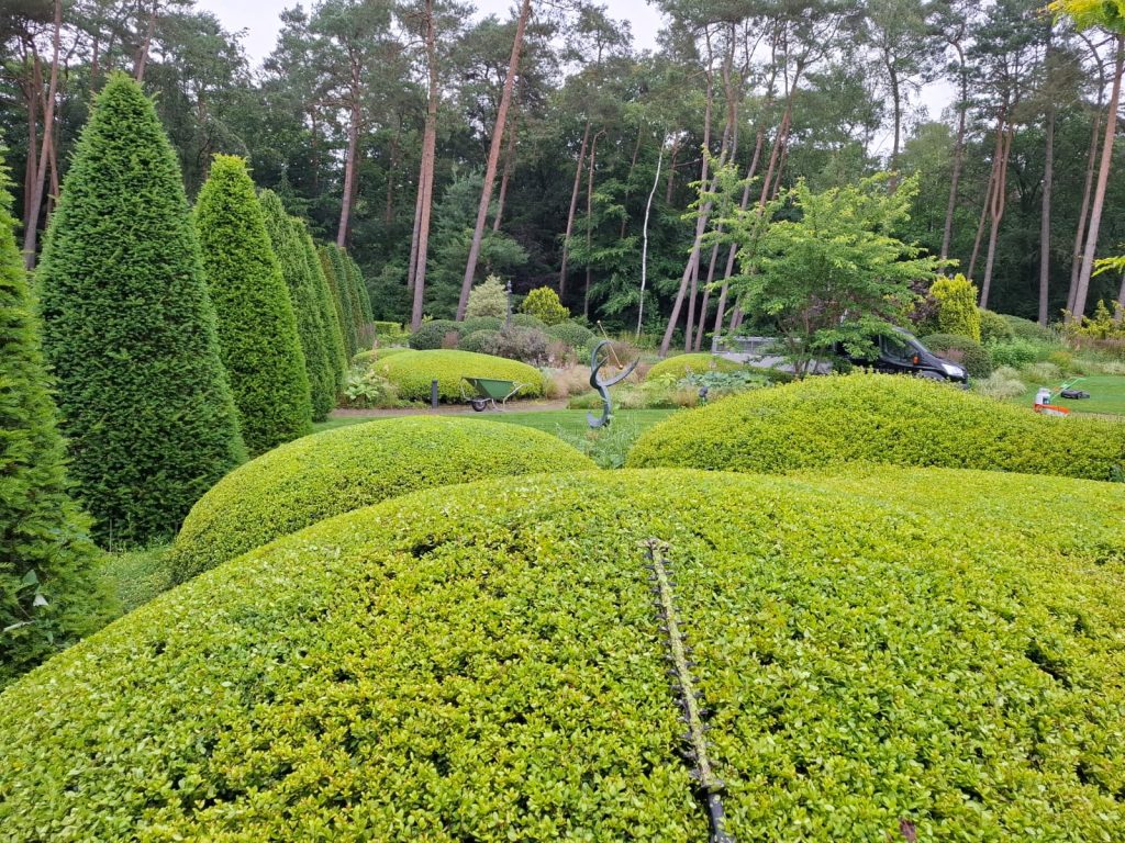 Perfect onderhoud van uw tuin