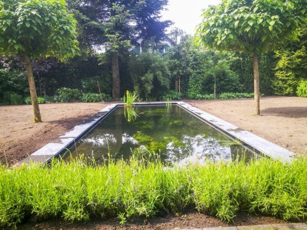 Spiegelvijver-laten-aanleggen-in-Epe-e1538063579712