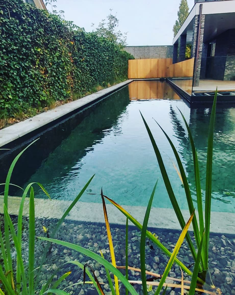 Strakke-zwemvijver-in-L-vorm-in-Zwolle