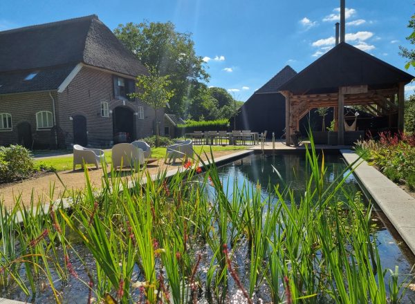 Tuinaanleg-zwemvijver-Hierden