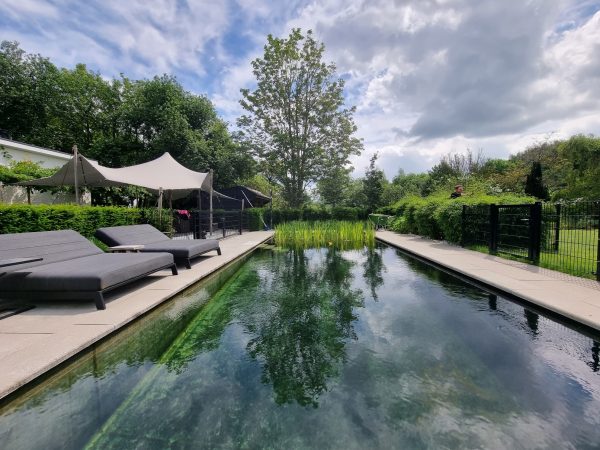 Tuinaanleg-zwemvijver-Vaassen