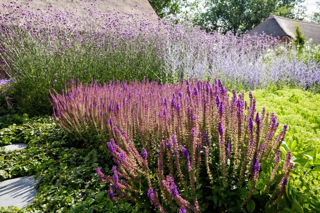 Vlinders in de tuin vlindertuin aan laten leggen