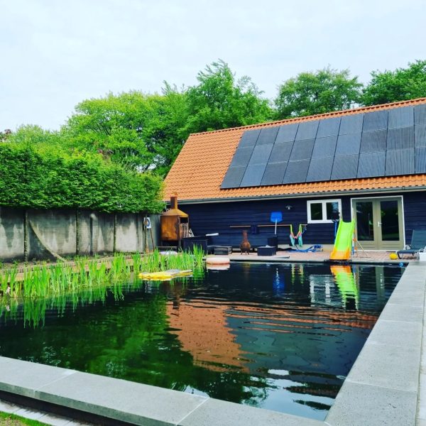 Zwemvijver-Harderwijk-Vos-tuinvisie