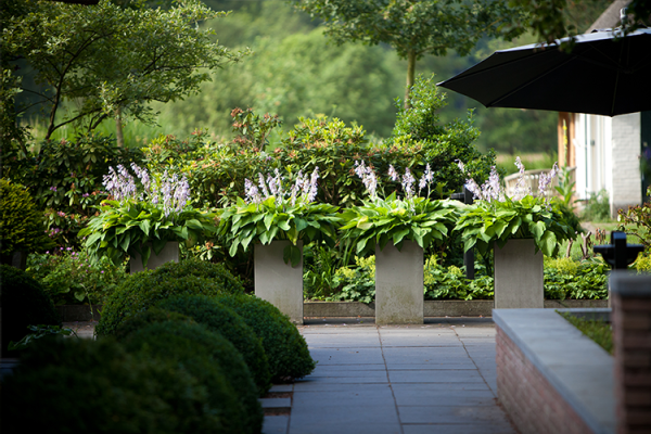 image-vos-tuinvisie-bostuin-epe-tuin1