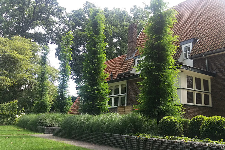 image-vos-tuinvisie-bostuin1