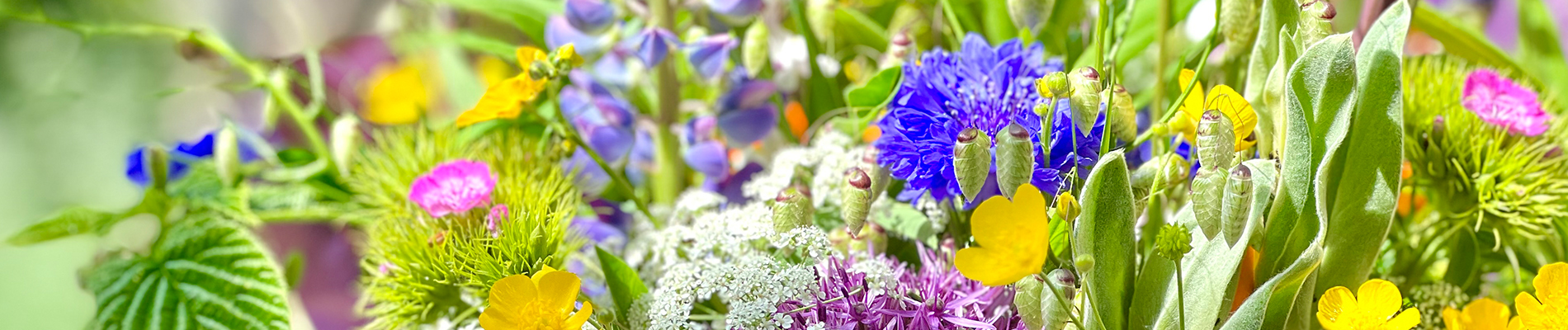 Tuintips_augustus-Header-plukboeket-uit-eigen-tuin