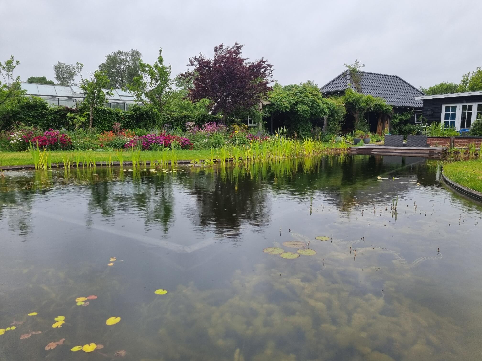 Natuurlijke zwemvijver in Emst 2