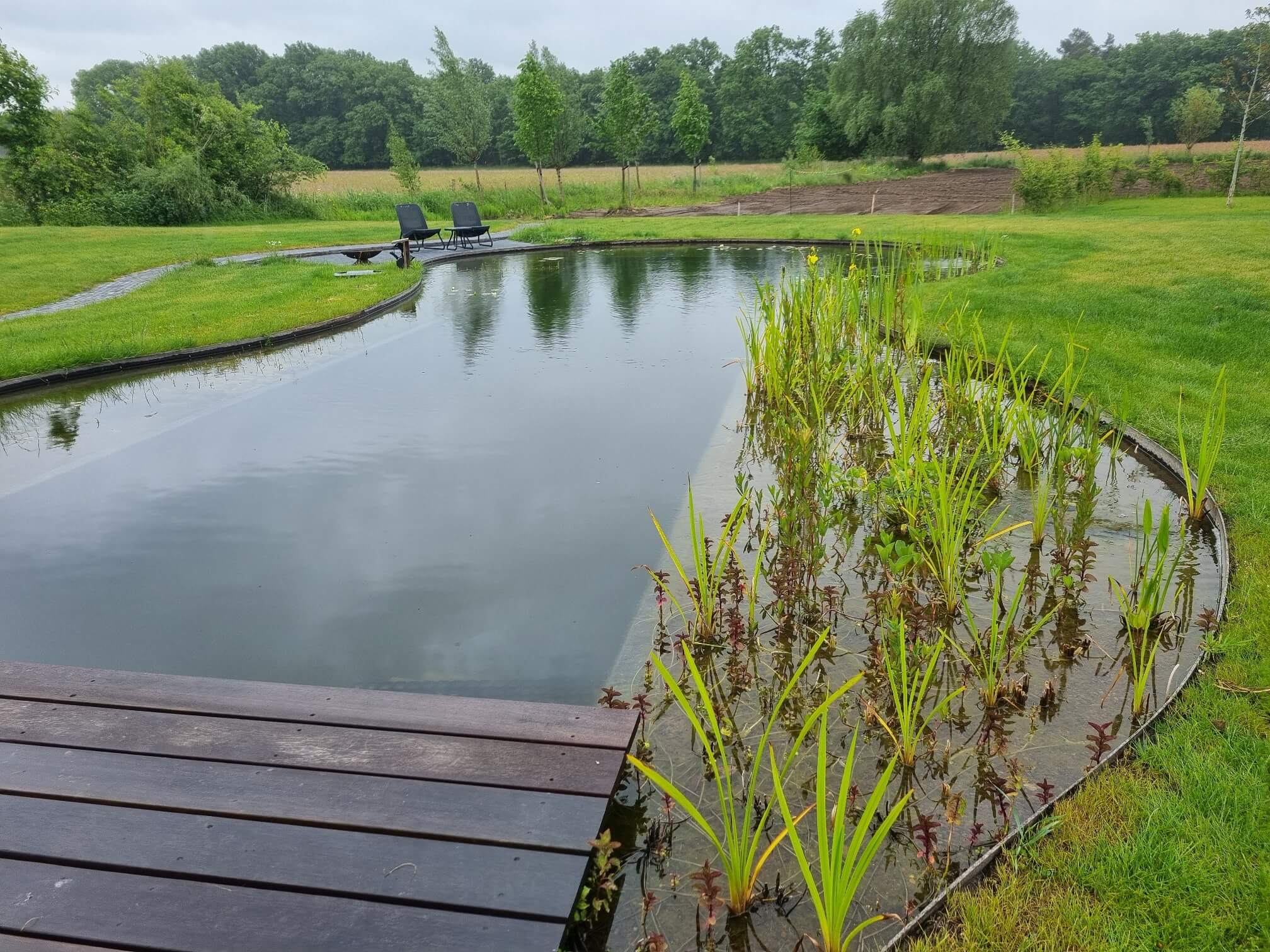 Natuurlijke zwemvijver in Emst 3