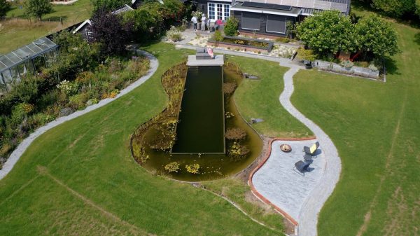 Natuurlijke zwemvijver in Emst