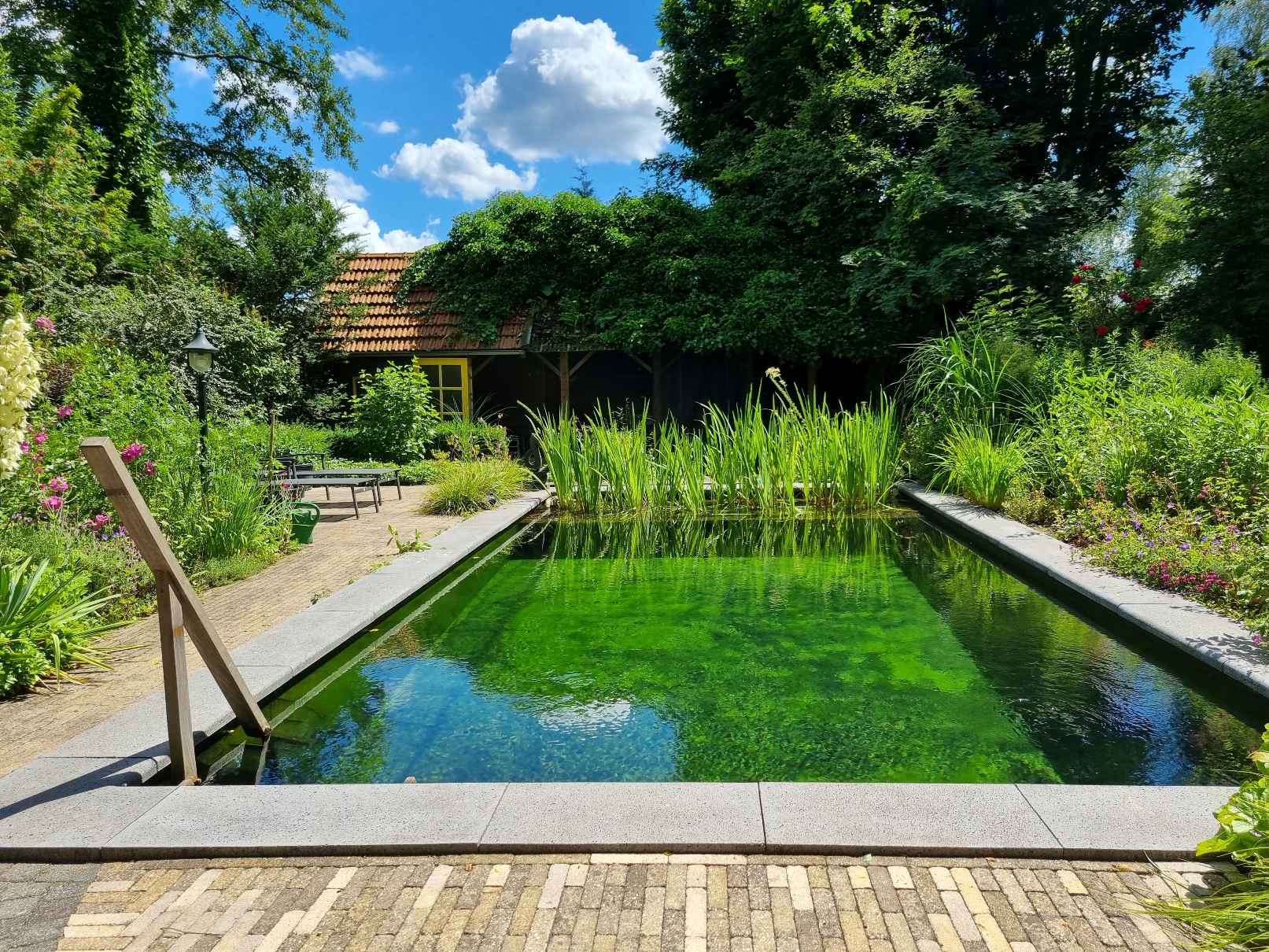Natuurzwembad aan laten leggen Vos Tuinvisie – Hoveniersbedrijf