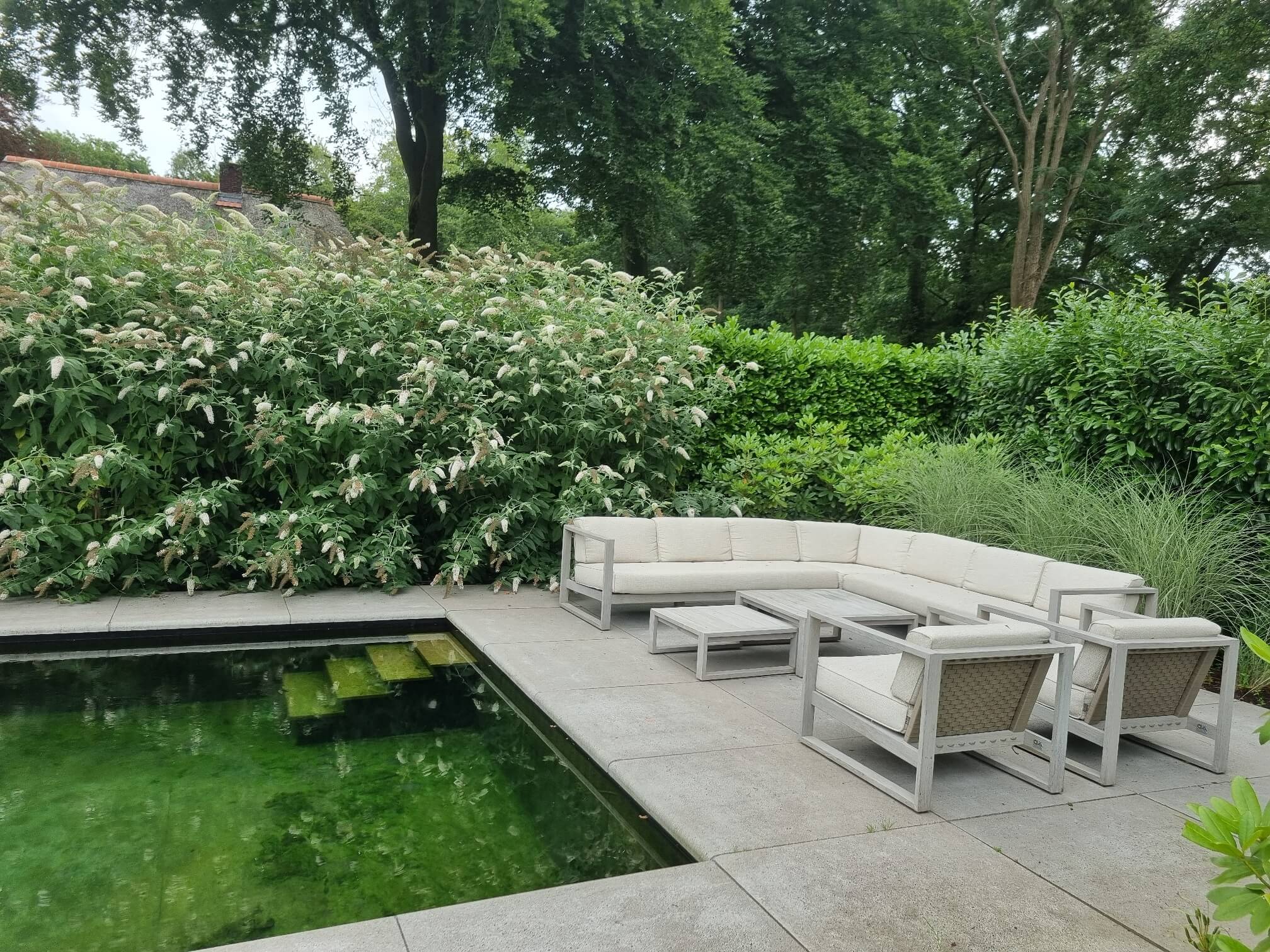 Zwemvijver Hattem met hardhouten vlonder 2