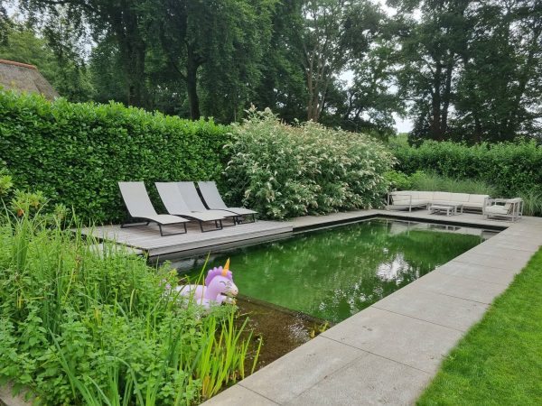 Zwemvijver Hattem met hardhouten vlonder