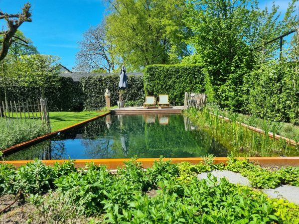 Zwemvijver met cortenstalen rand in Epe