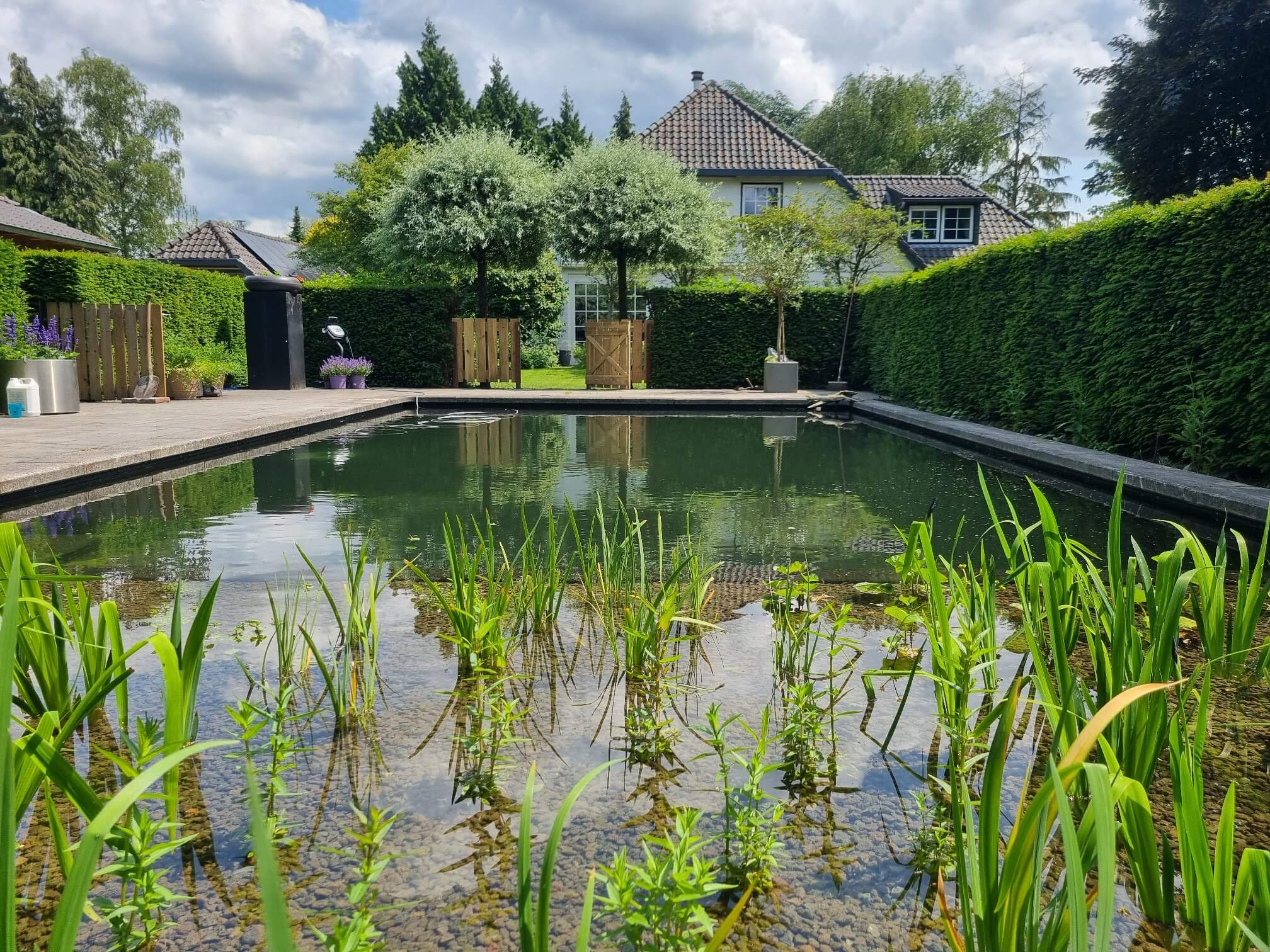 ombouw traditioneel chloorbad naar zwemvijver in Loenen 4