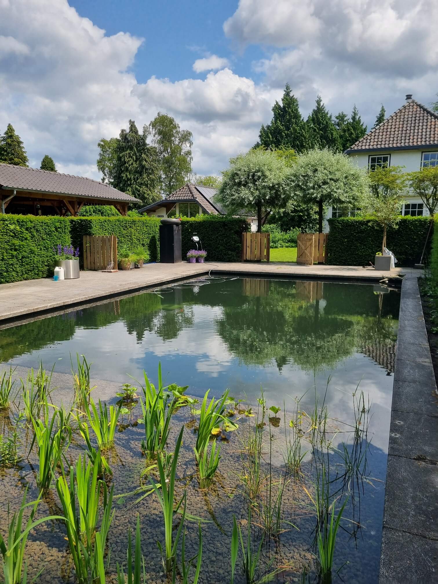 ombouw traditioneel chloorbad naar zwemvijver in Loenen 5