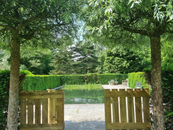 ombouw traditioneel chloorbad naar zwemvijver in Loenen