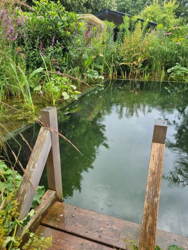 zwemvijver plonsvijver in Nunspeet