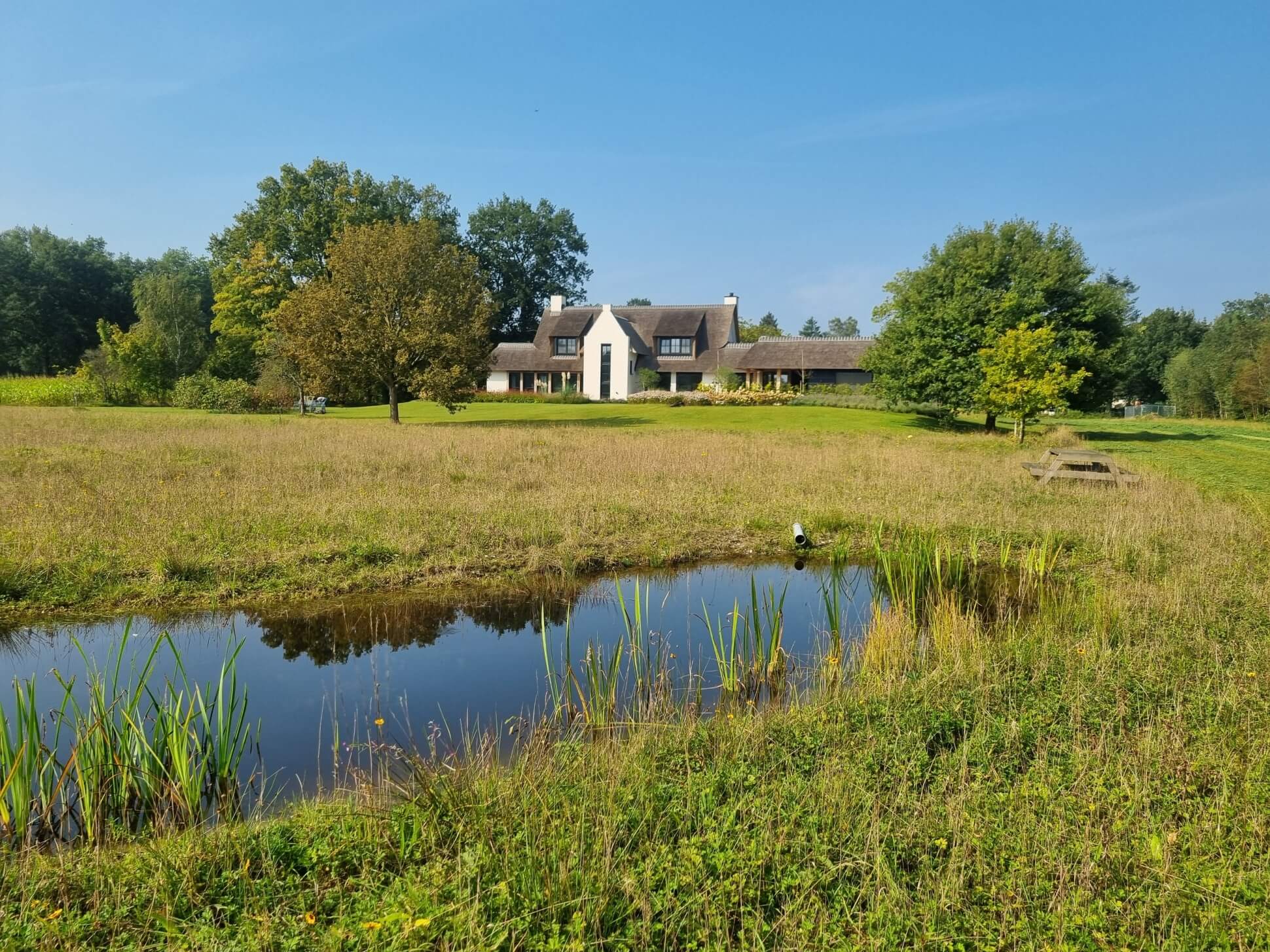 Minder wateroverlast, meer biodiversiteit