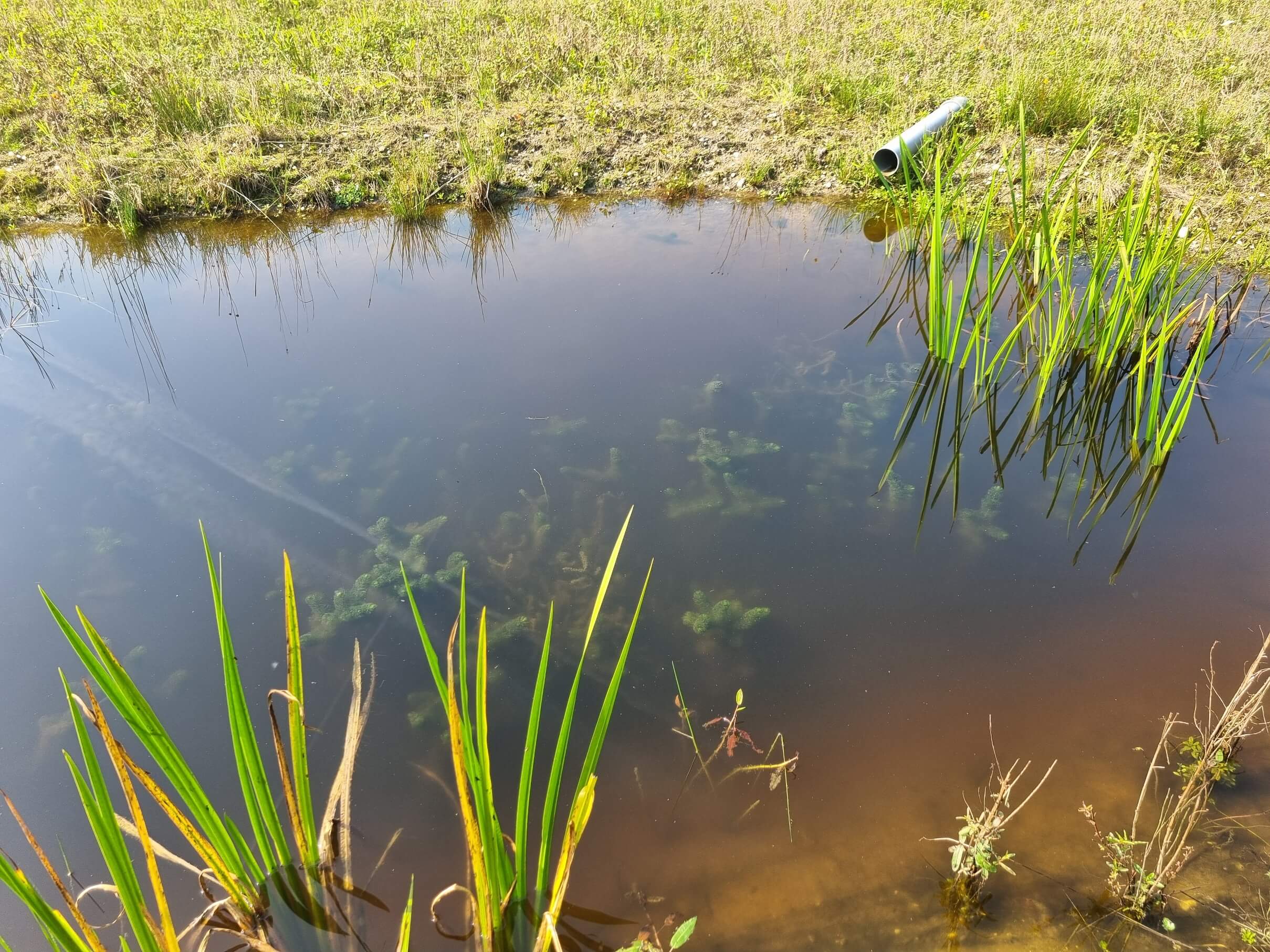 Wadi aanleggen in grote of kleine tuin