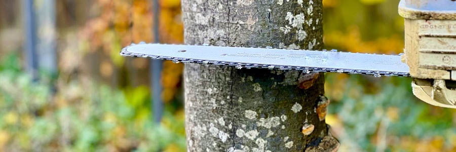 Template_Inner (3).jpg BOMEN SNOEIEN