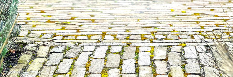 Template_Inner (4).jpg 1