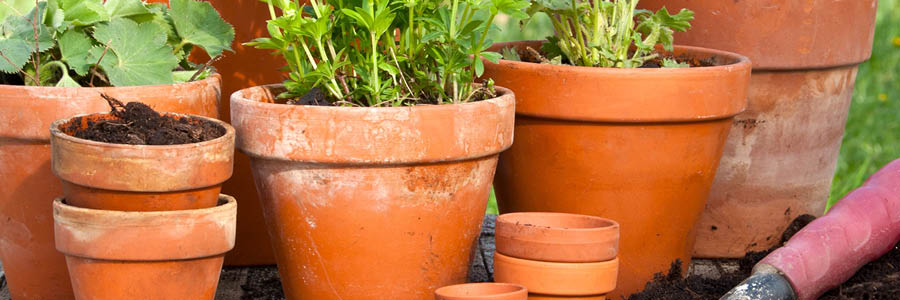 Template_Inner (4).jpg 3