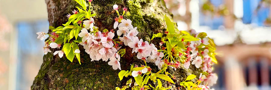 Template_Inner (4).jpg 4