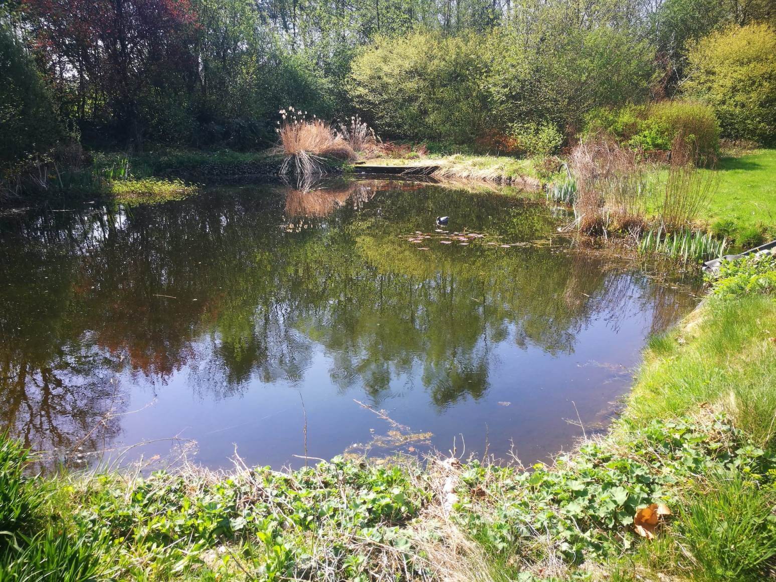 Waterkwaliteit monitoren