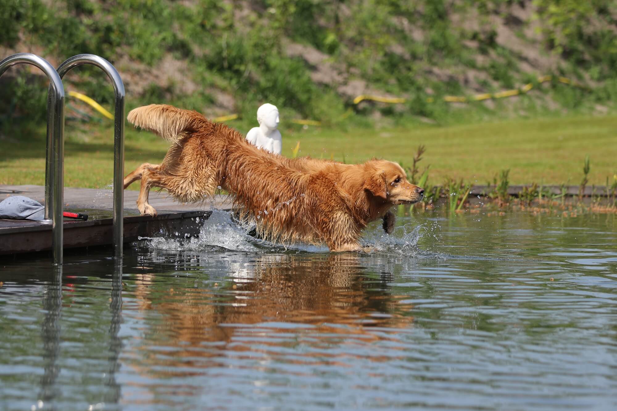 Aanleg natuurlijke zwemvijver in Elspeet