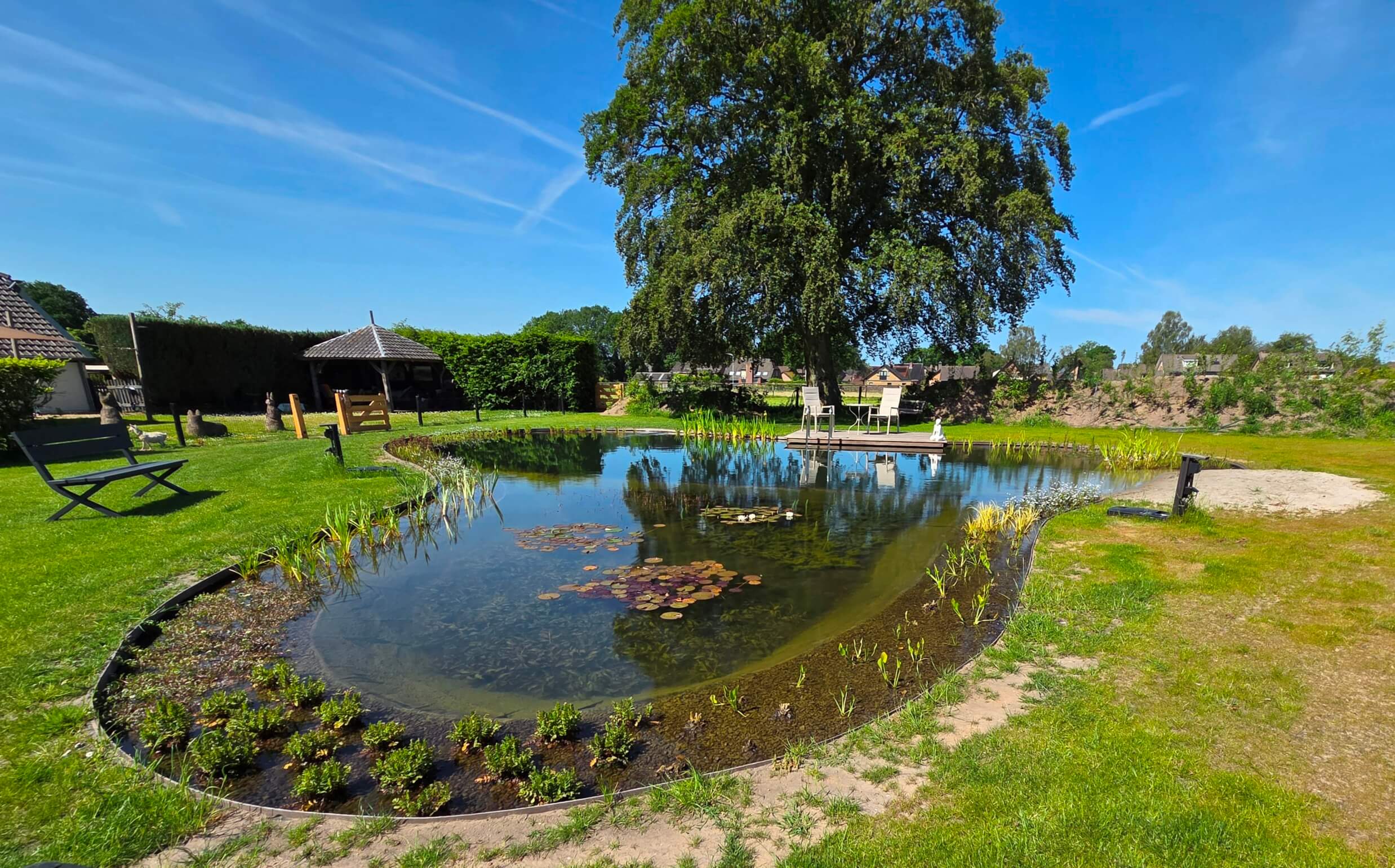 Natuurlijke zwemvijver in Elspeet